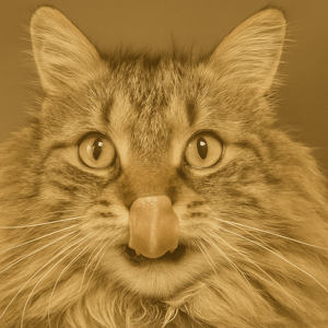 Sepia