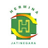 RS Hermina Jatinegara