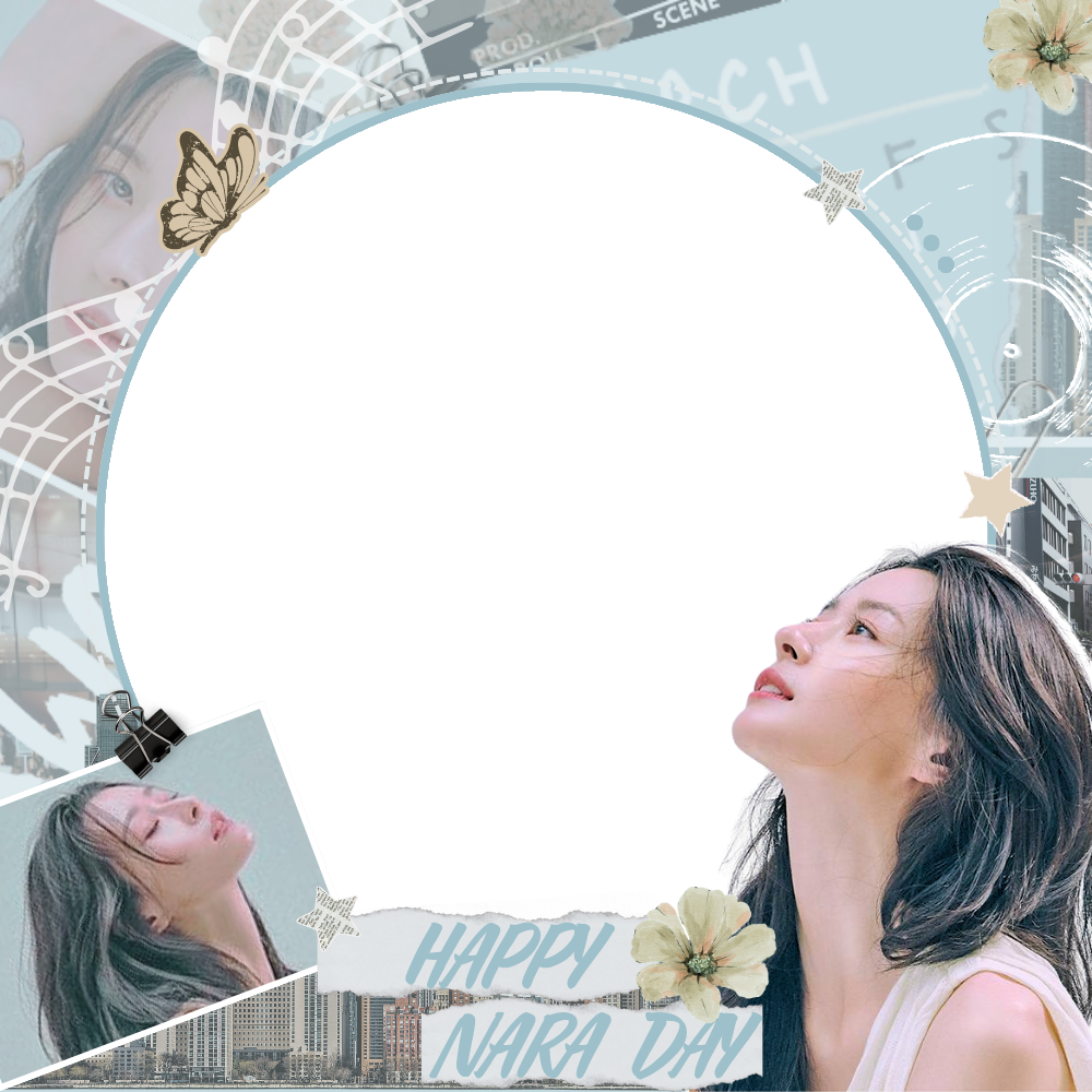 Frame Preview