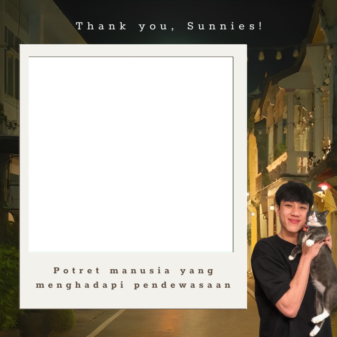 Frame Preview