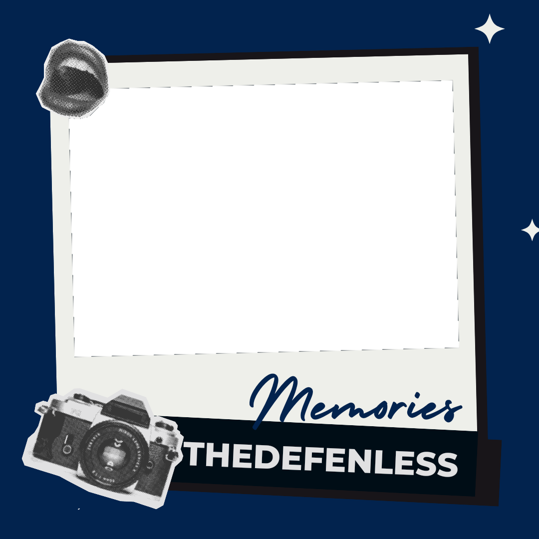 Frame Preview