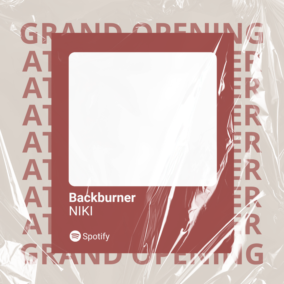 Frame Preview
