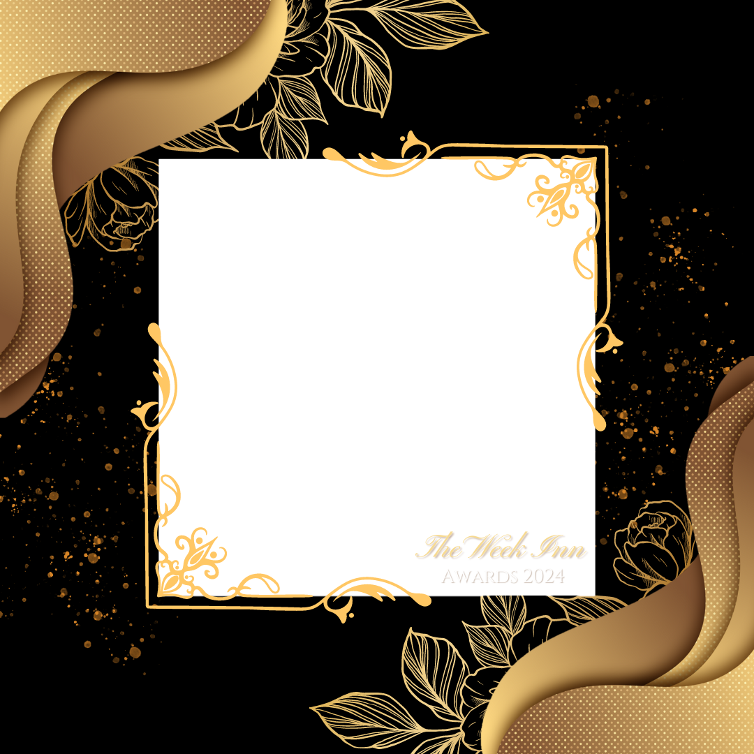 Frame Preview