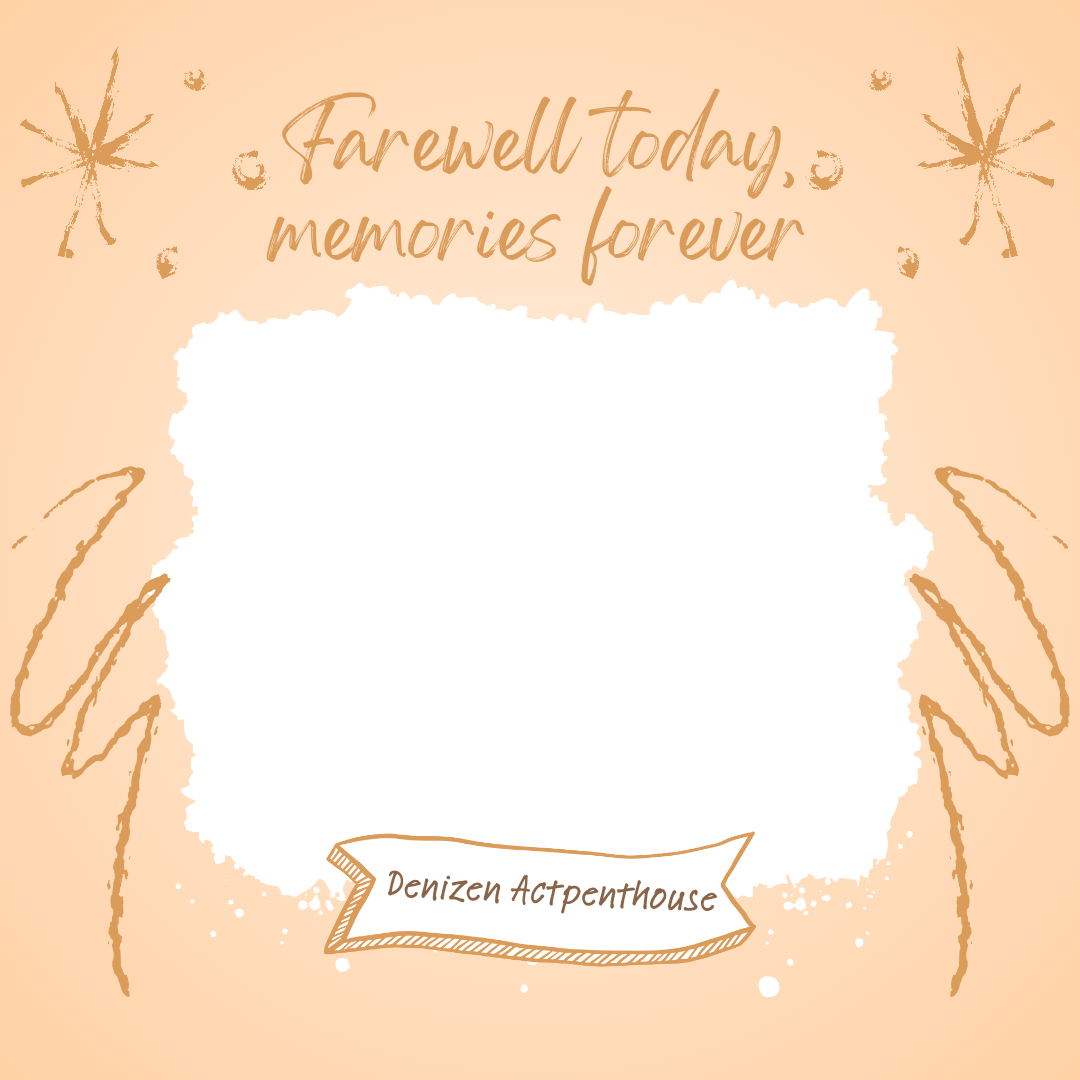 Frame Preview