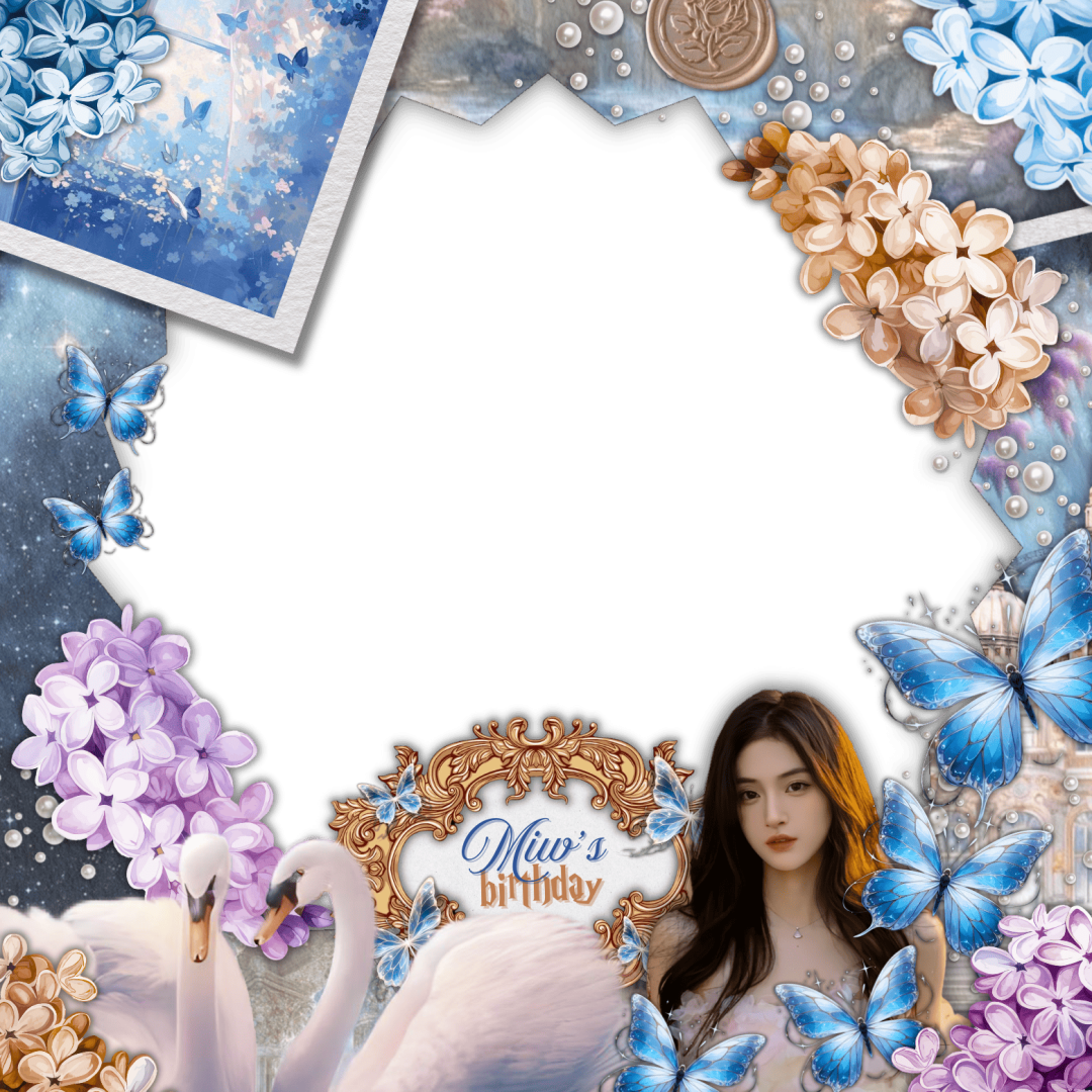 Frame Preview