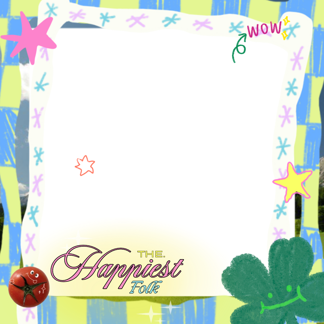 Frame Preview