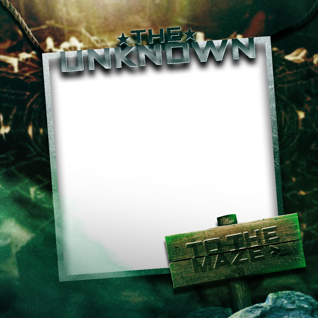 Frame Preview