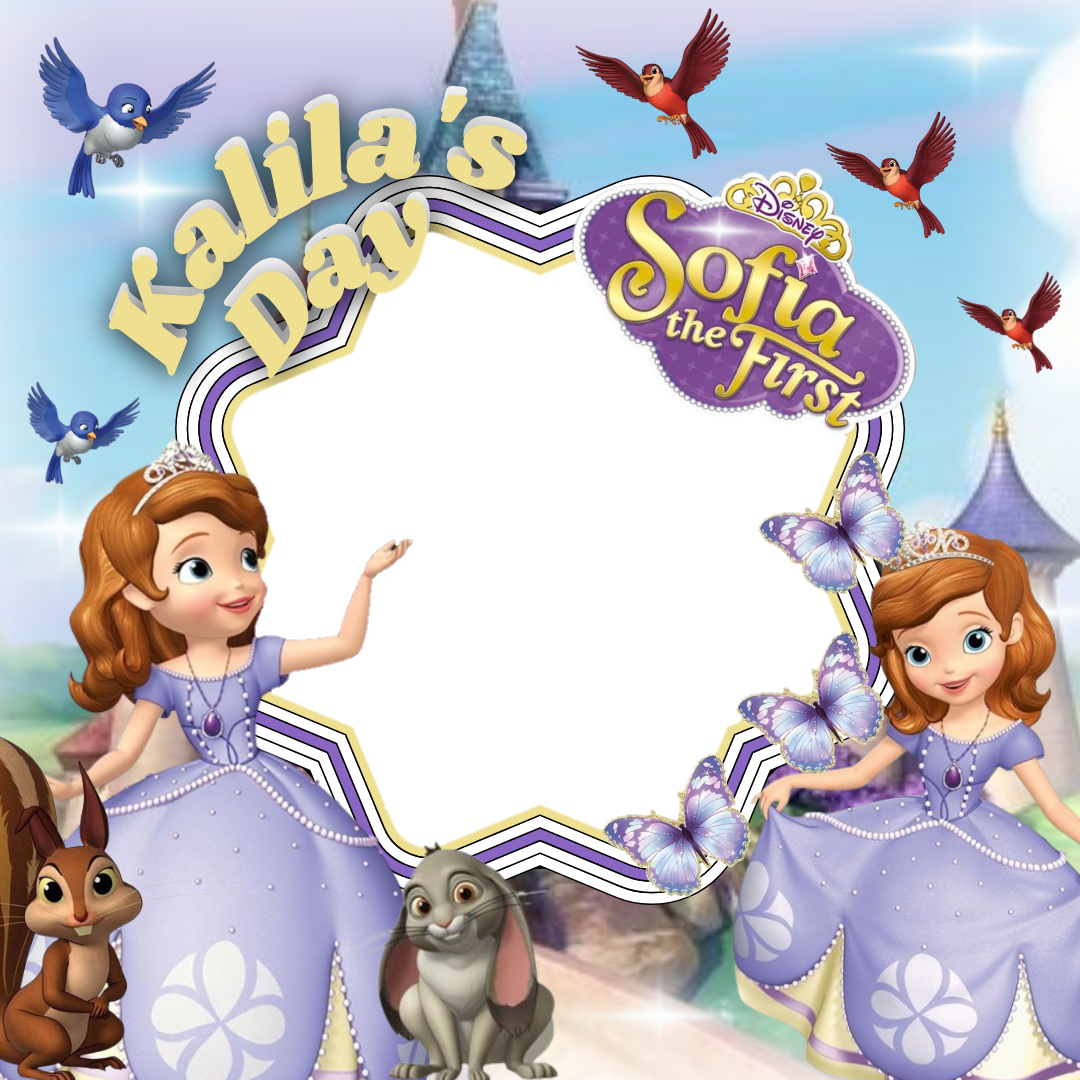 Frame Preview