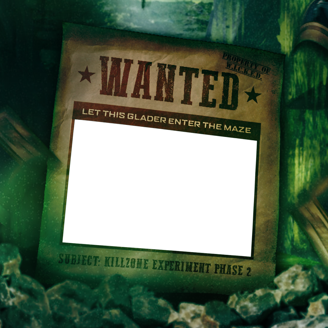 Frame Preview