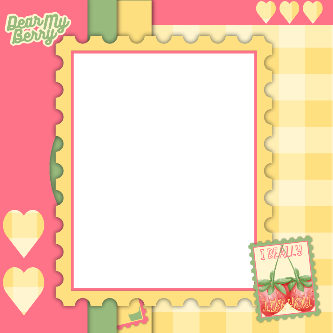 Frame Preview