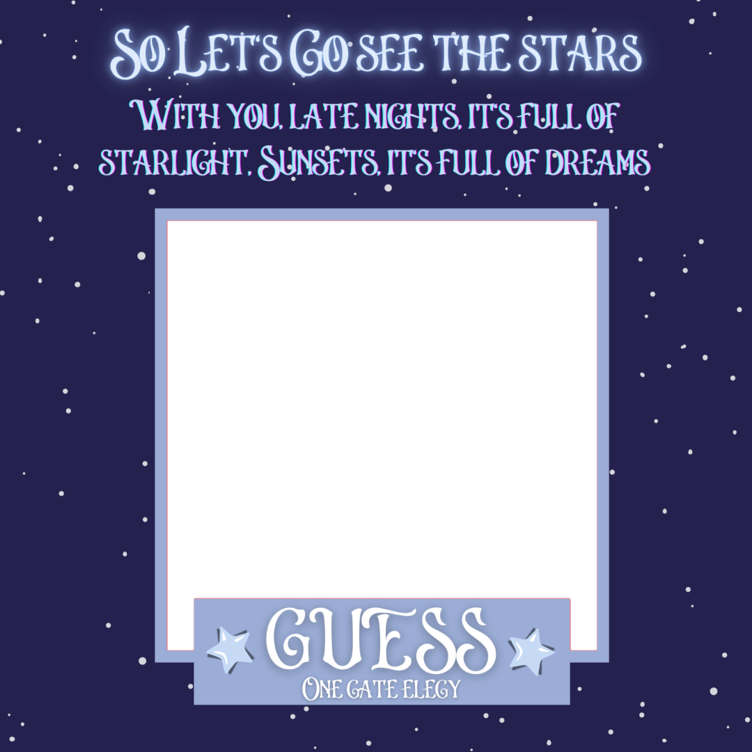 Frame Preview