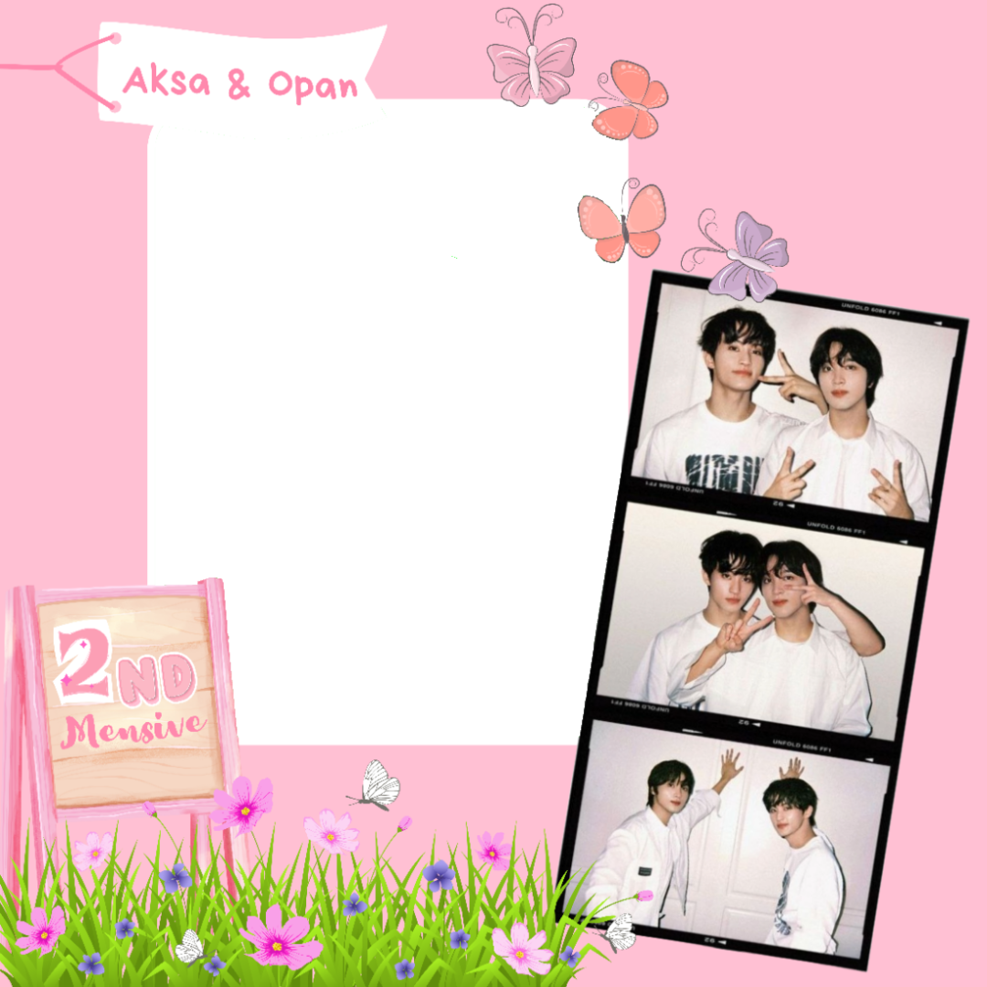 Frame Preview
