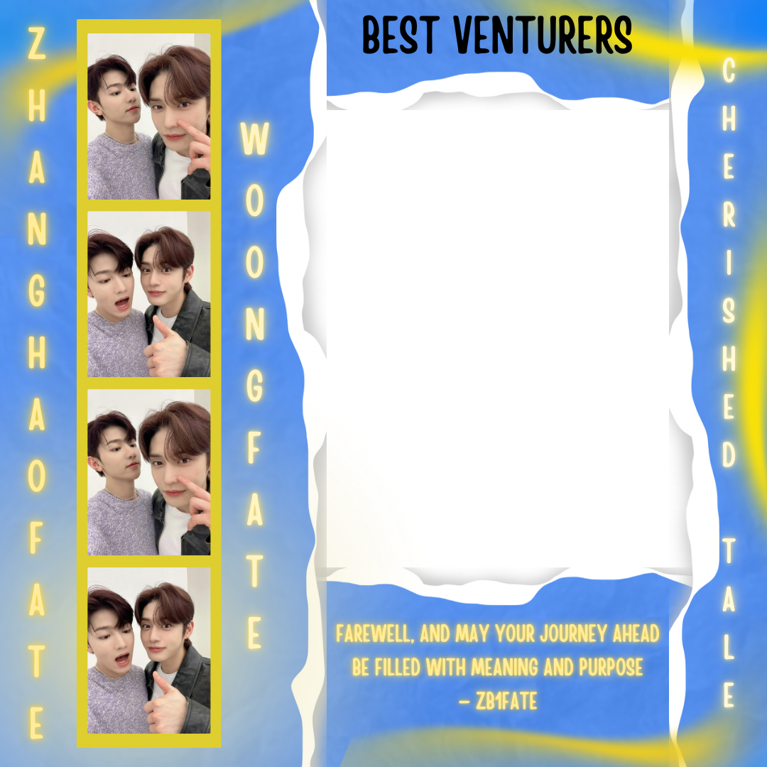 Frame Preview