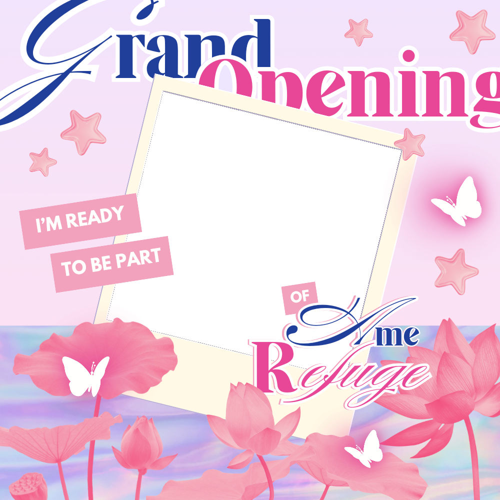 Frame Preview