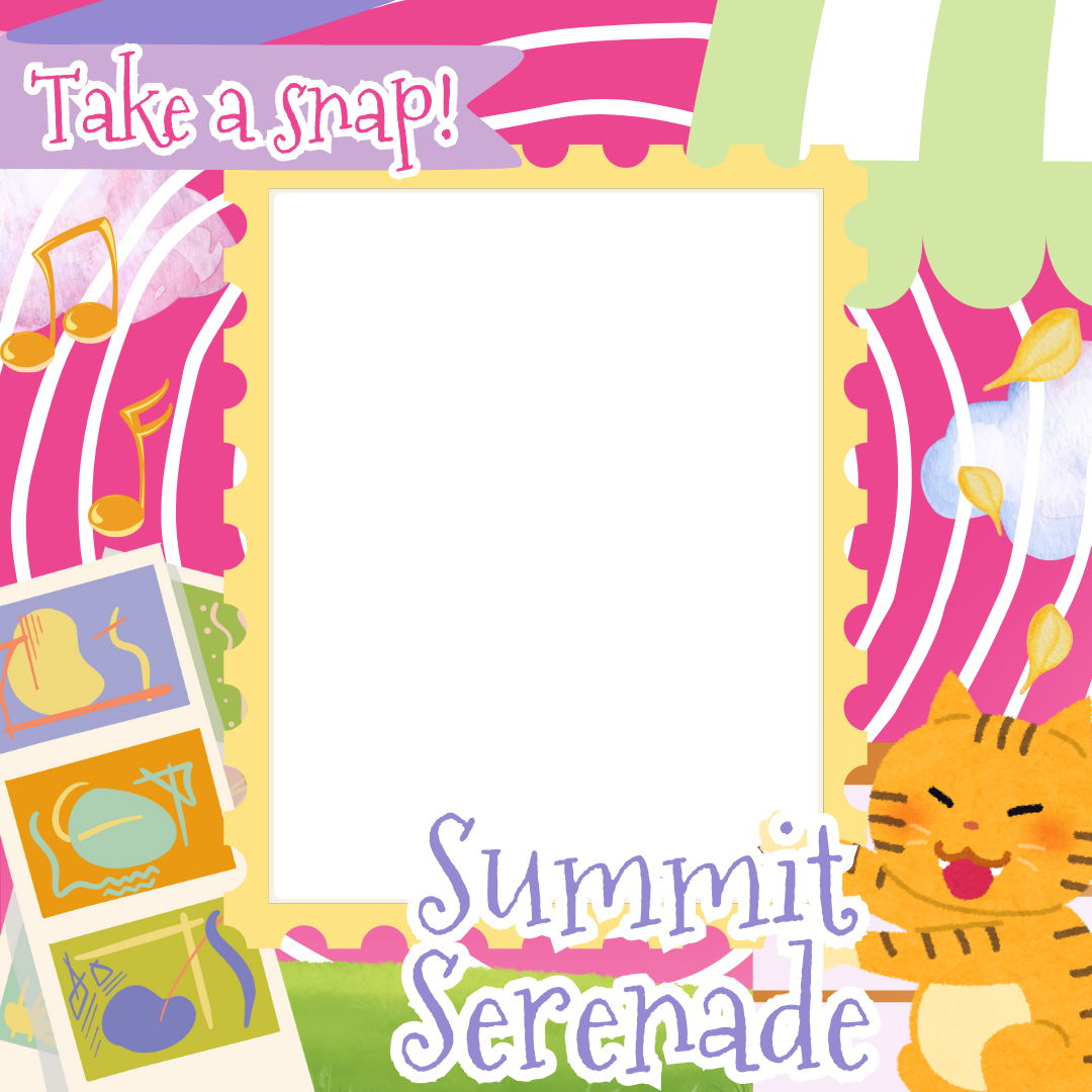 Frame Preview