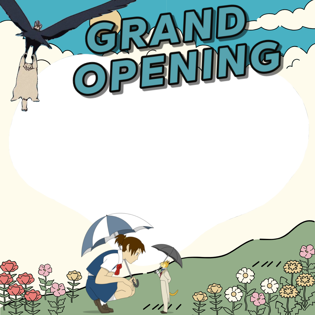 Frame Preview