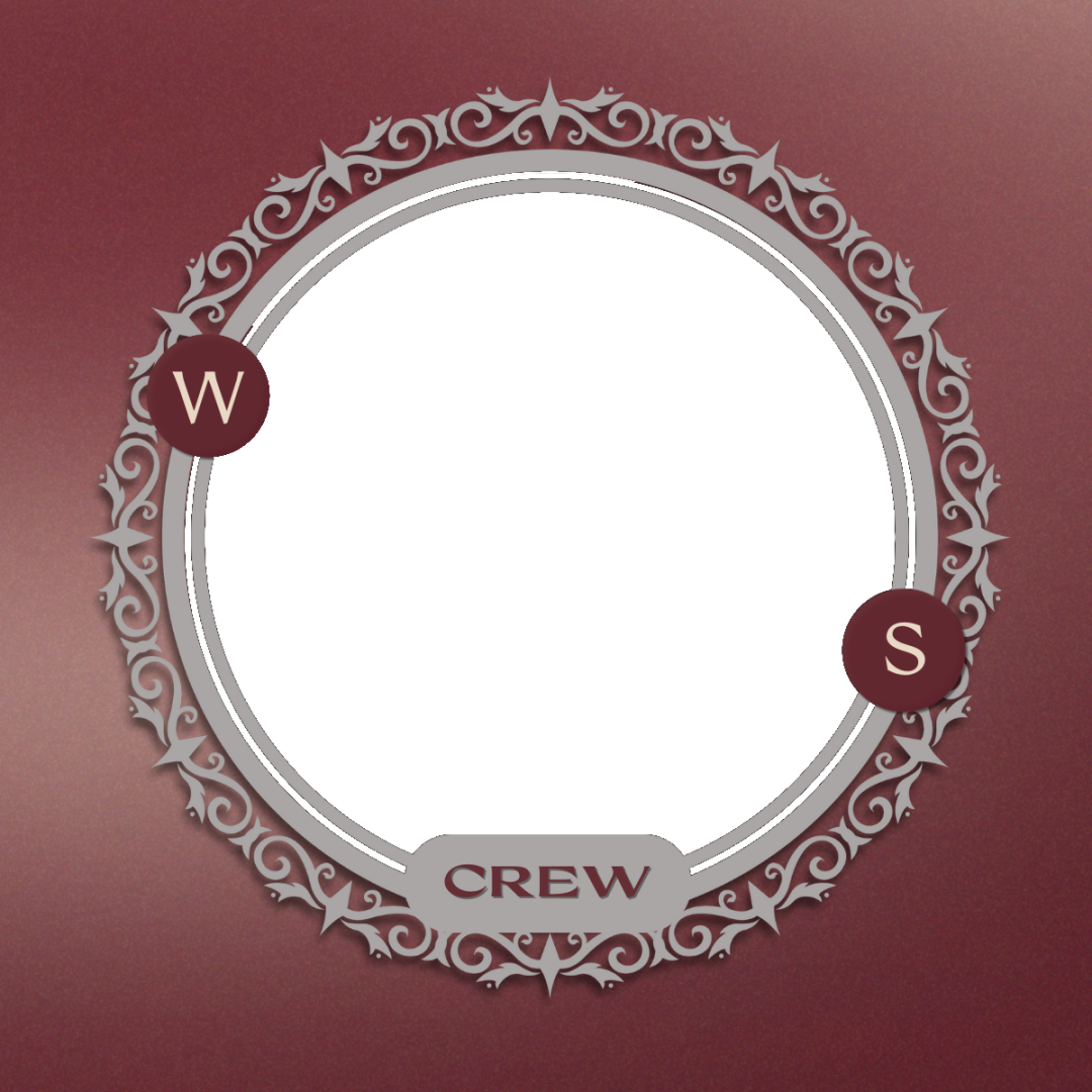 Frame Preview