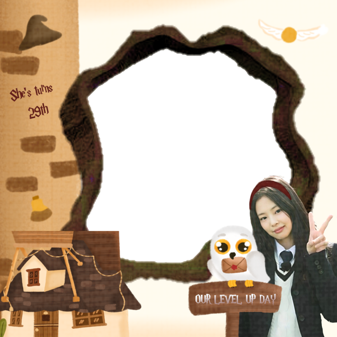 Frame Preview