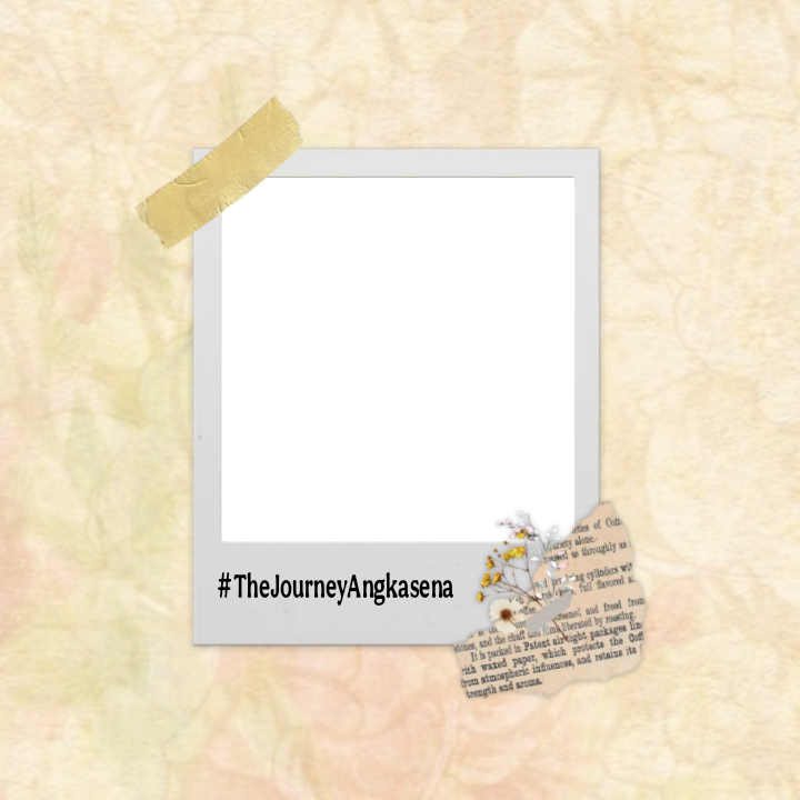 Frame Preview