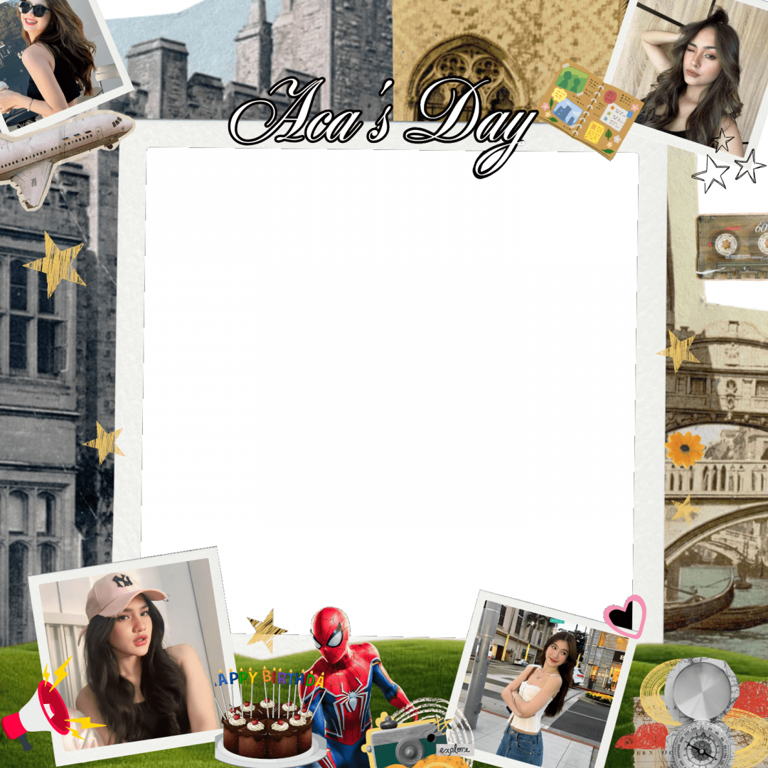 Frame Preview