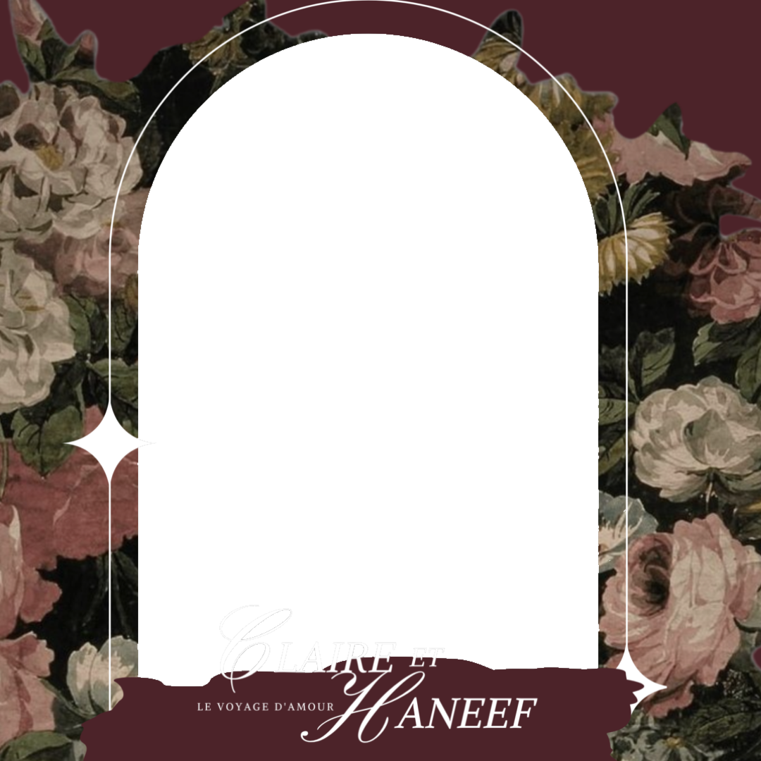 Frame Preview