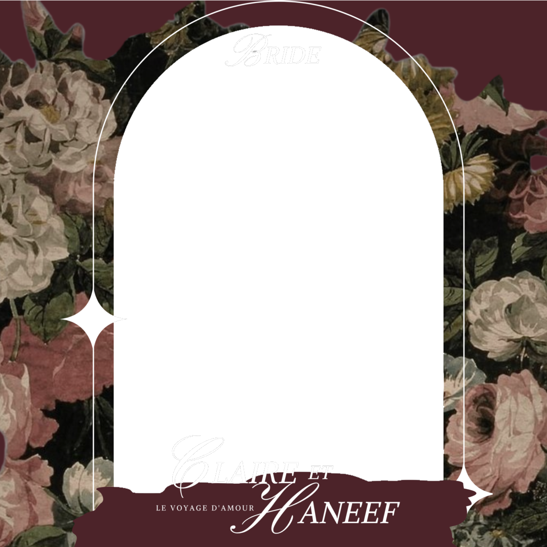 Frame Preview