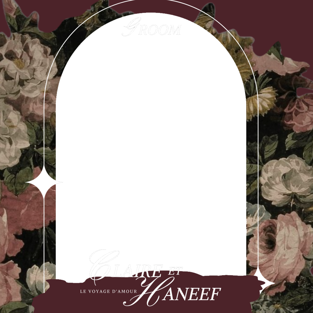Frame Preview