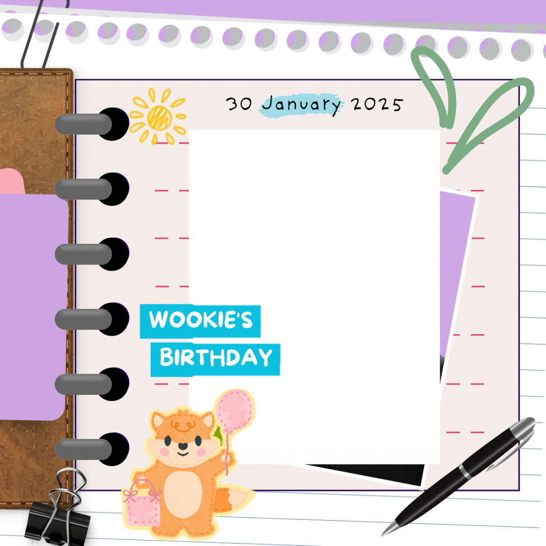 Frame Preview