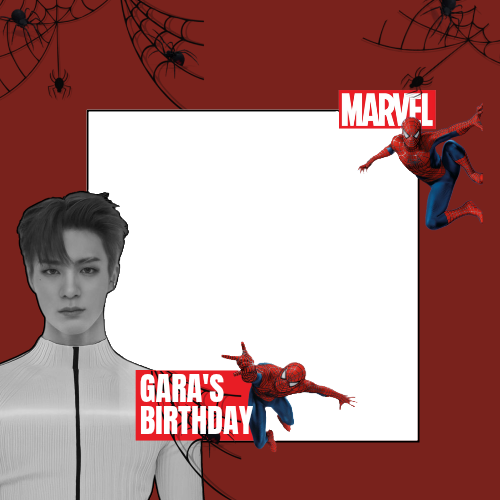 Frame Preview