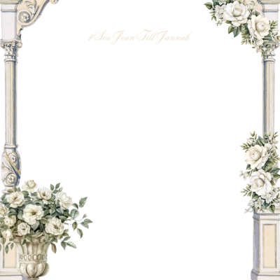 Frame Preview
