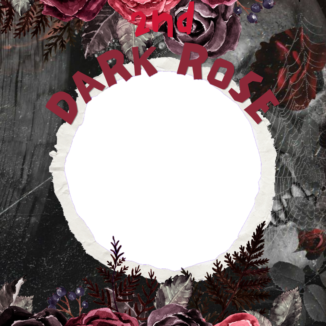 Frame Preview