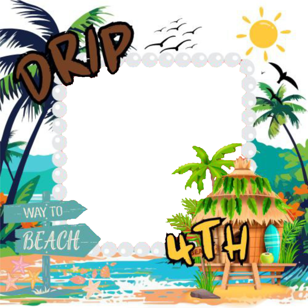 Frame Preview