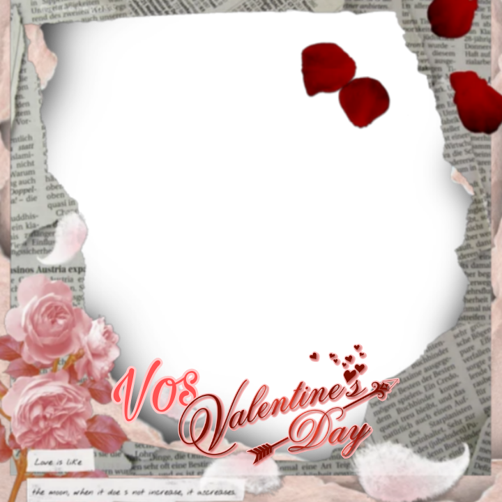 Frame Preview