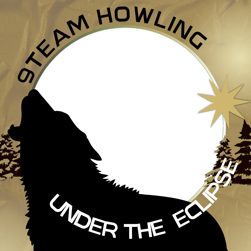 Frame Preview