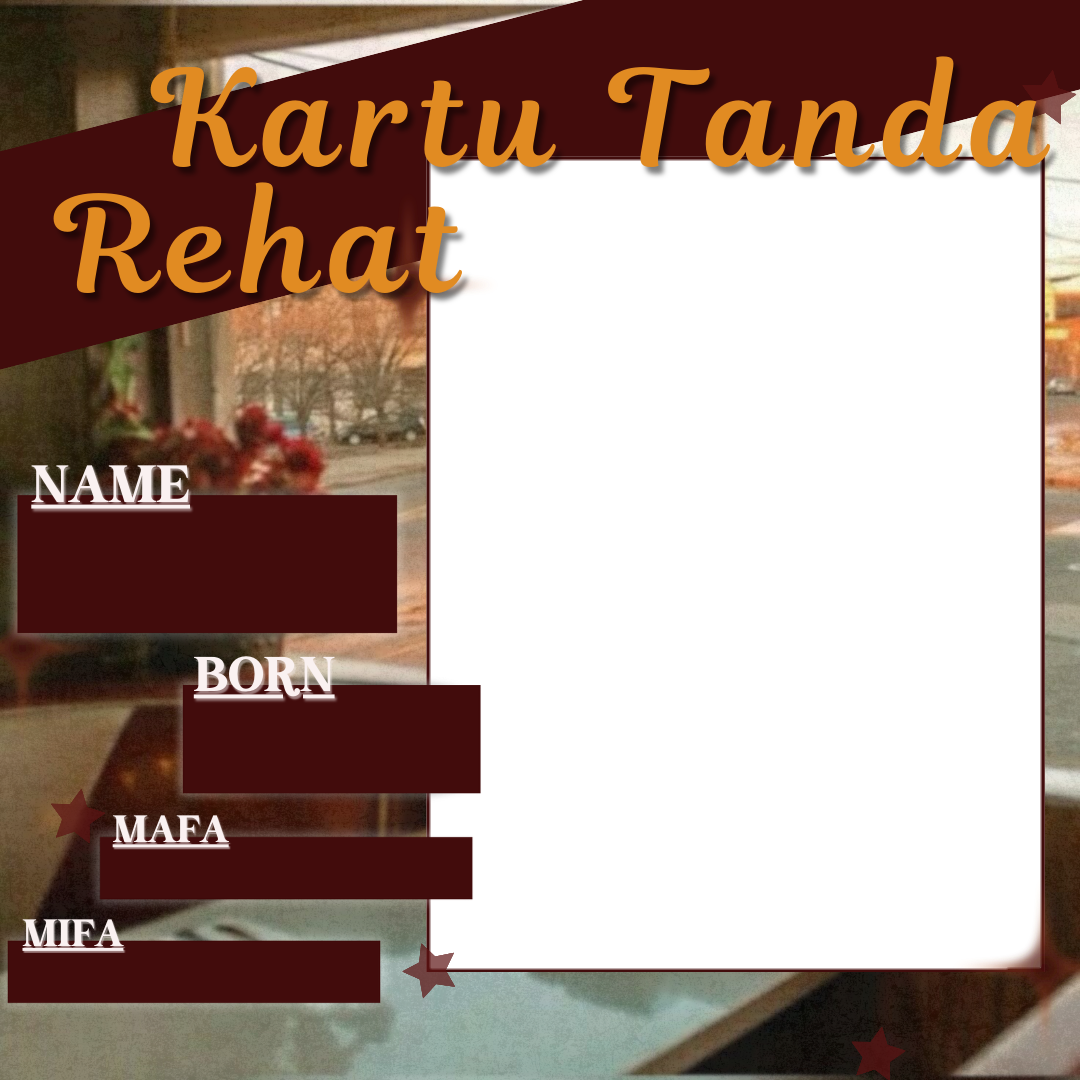 Frame Preview