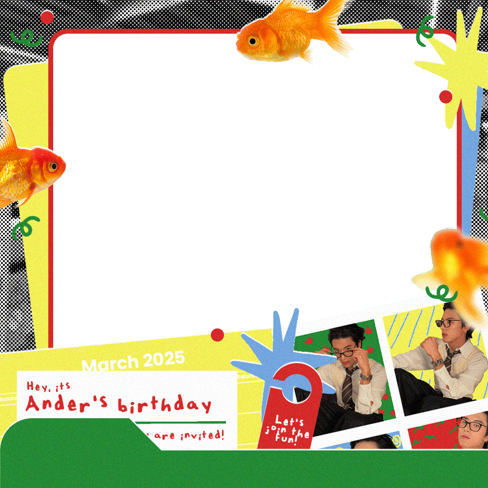 Frame Preview