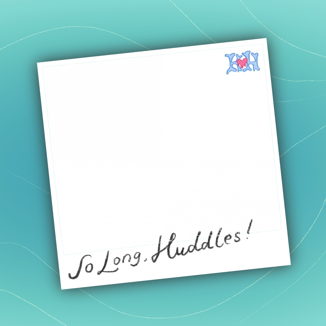Frame Preview