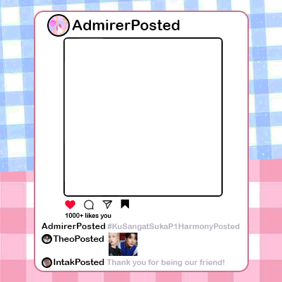 Frame Preview