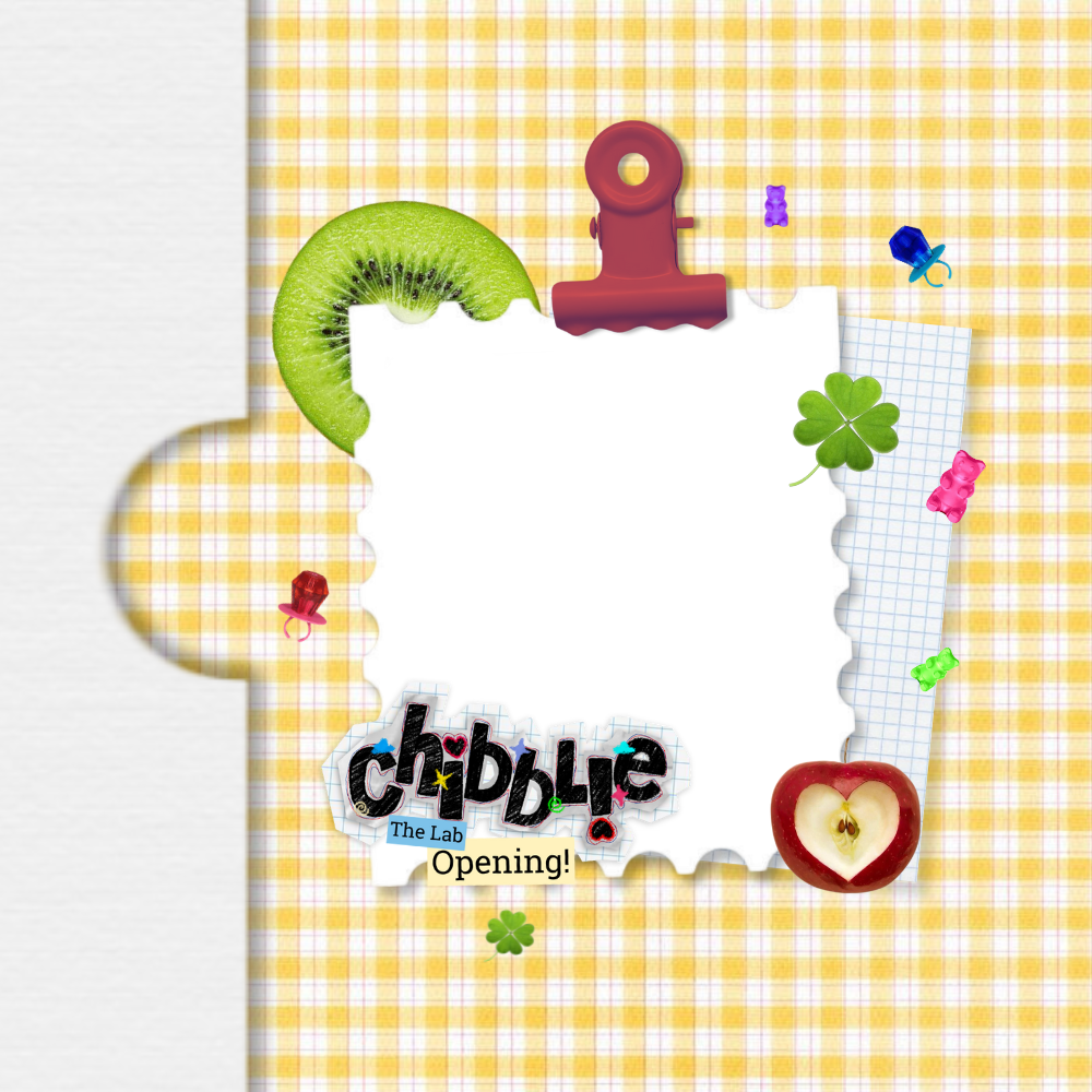 Frame Preview