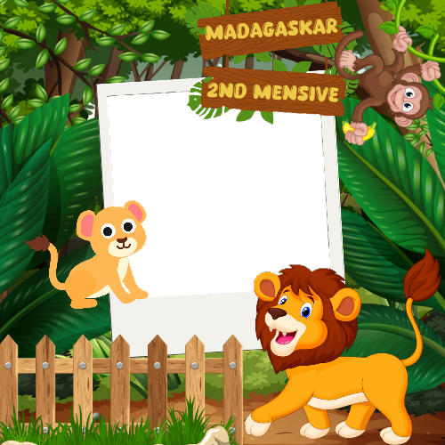 Frame Preview
