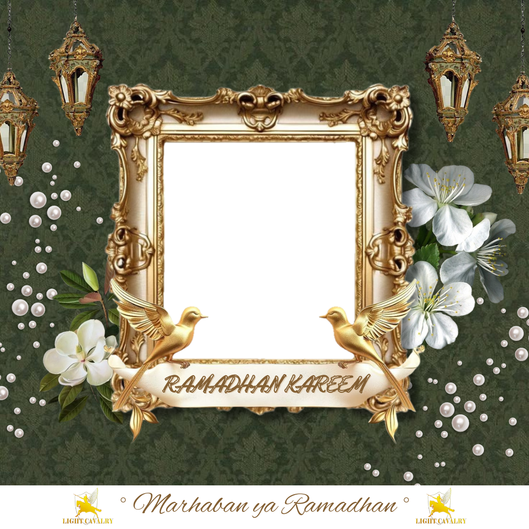Frame Preview