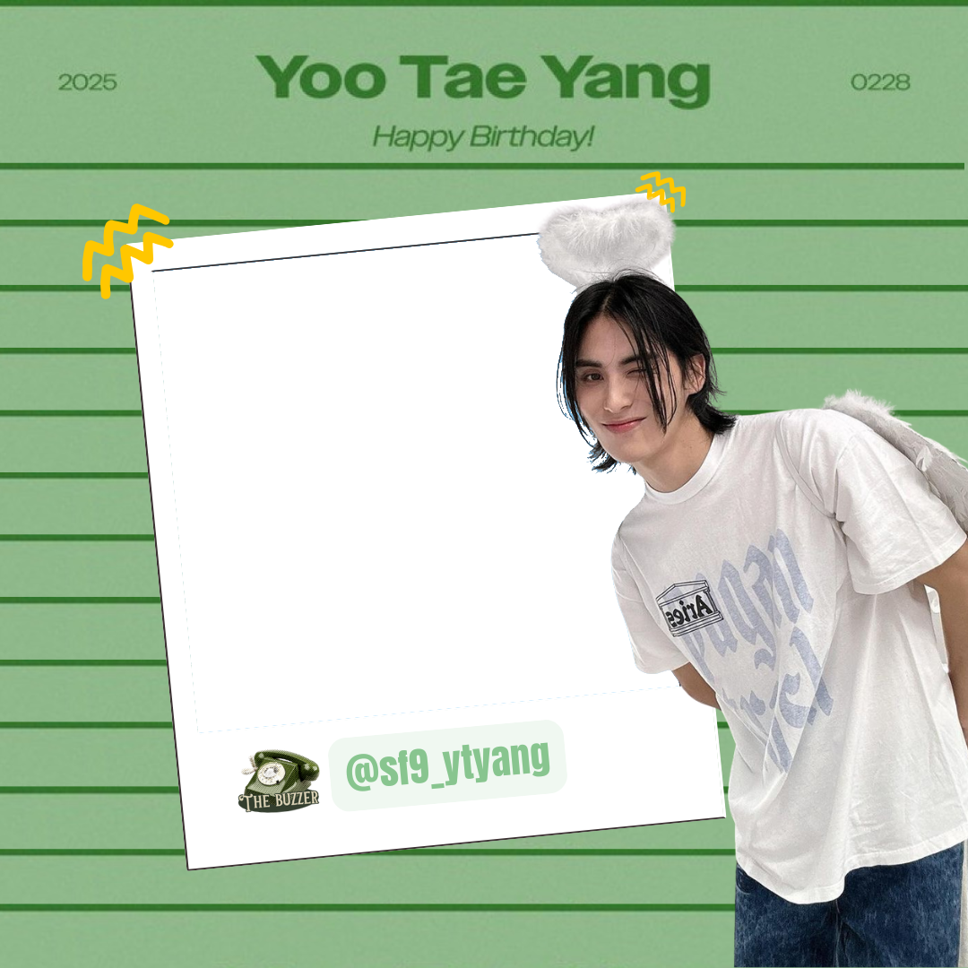 Frame Preview
