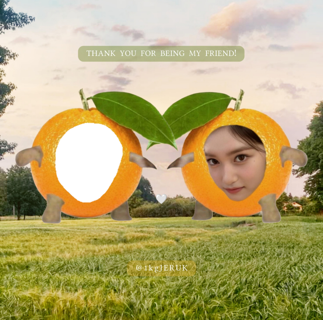 Frame Preview