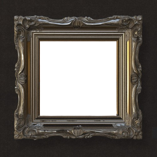 Frame Preview