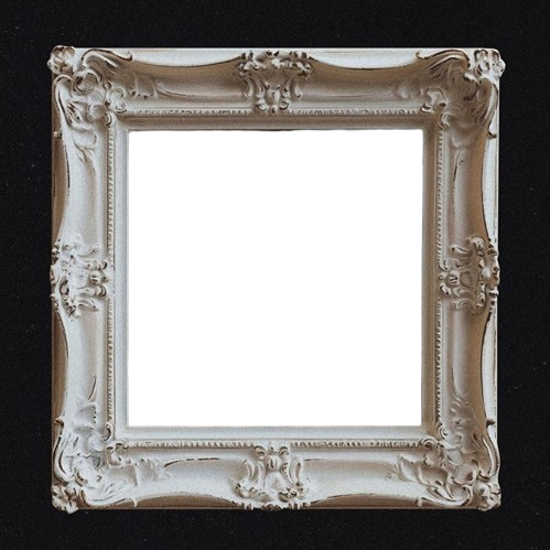 Frame Preview