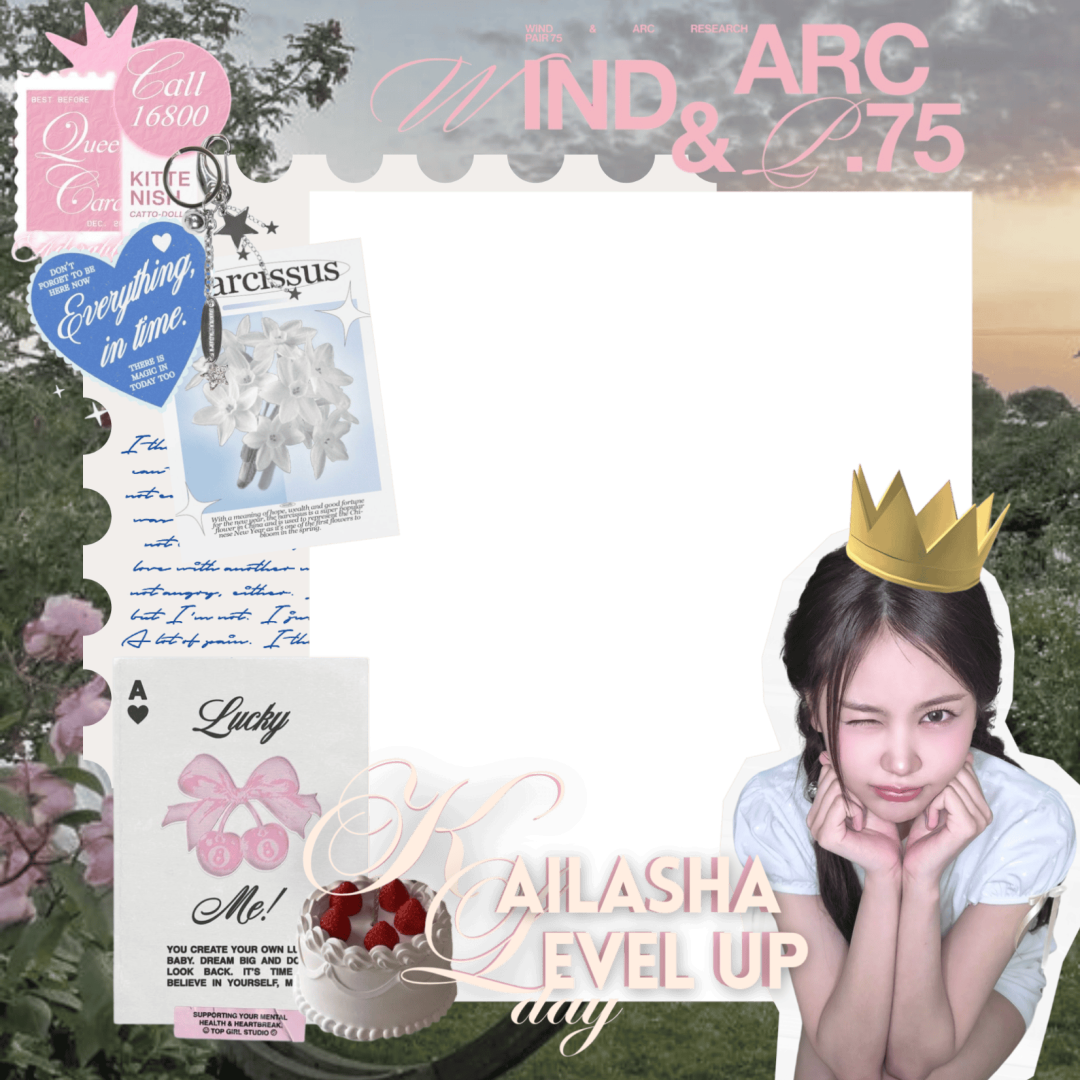 Frame Preview