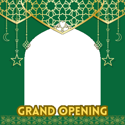 Frame Preview