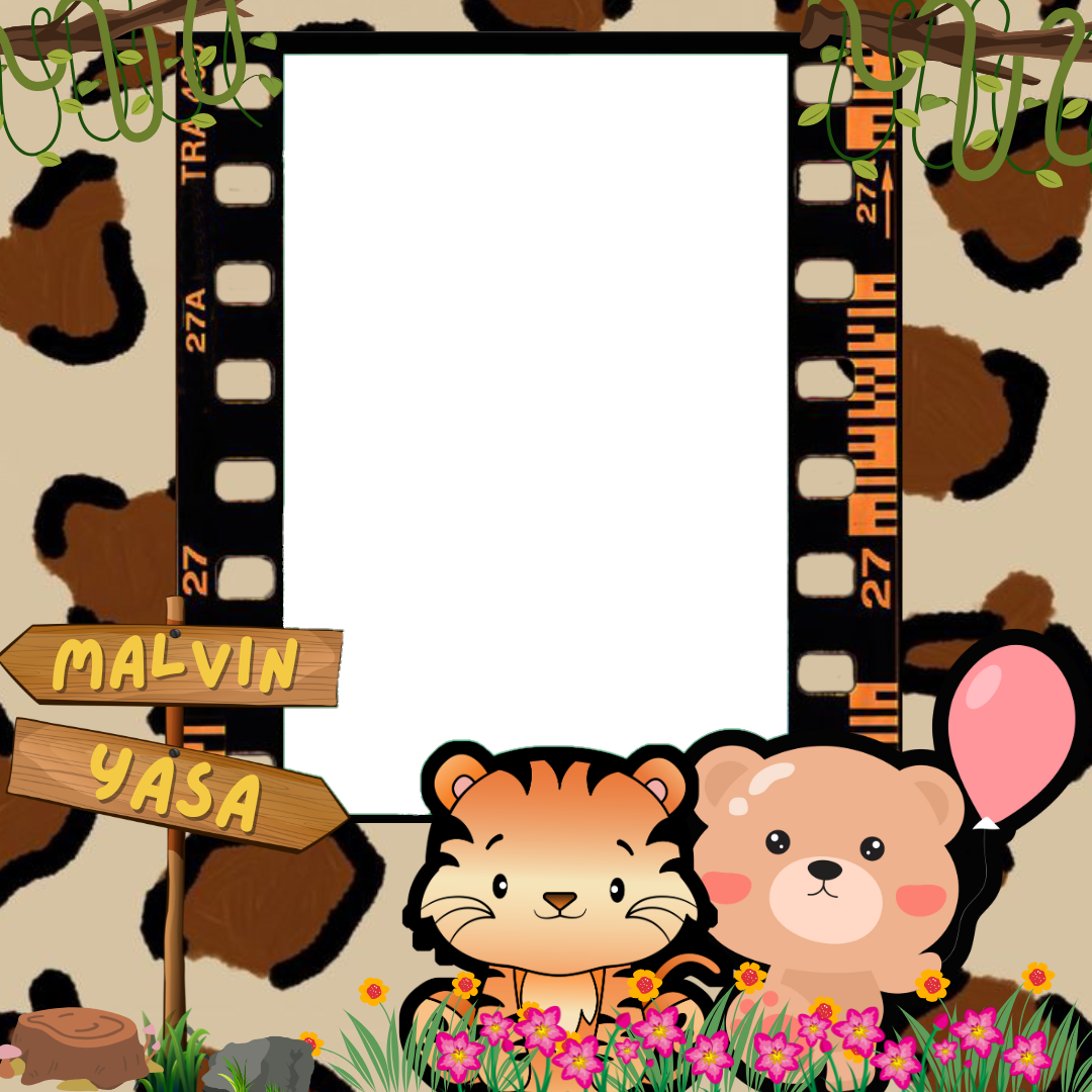 Frame Preview