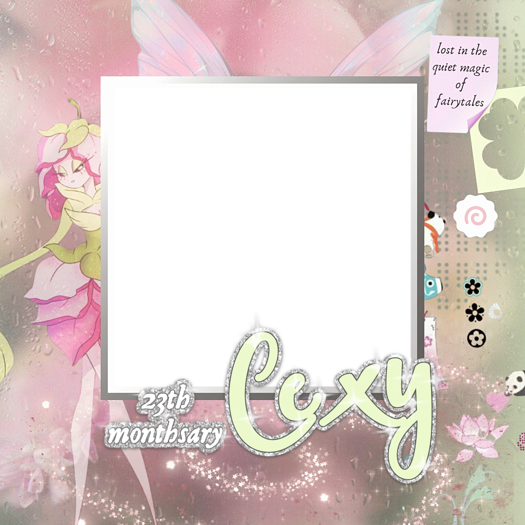 Frame Preview