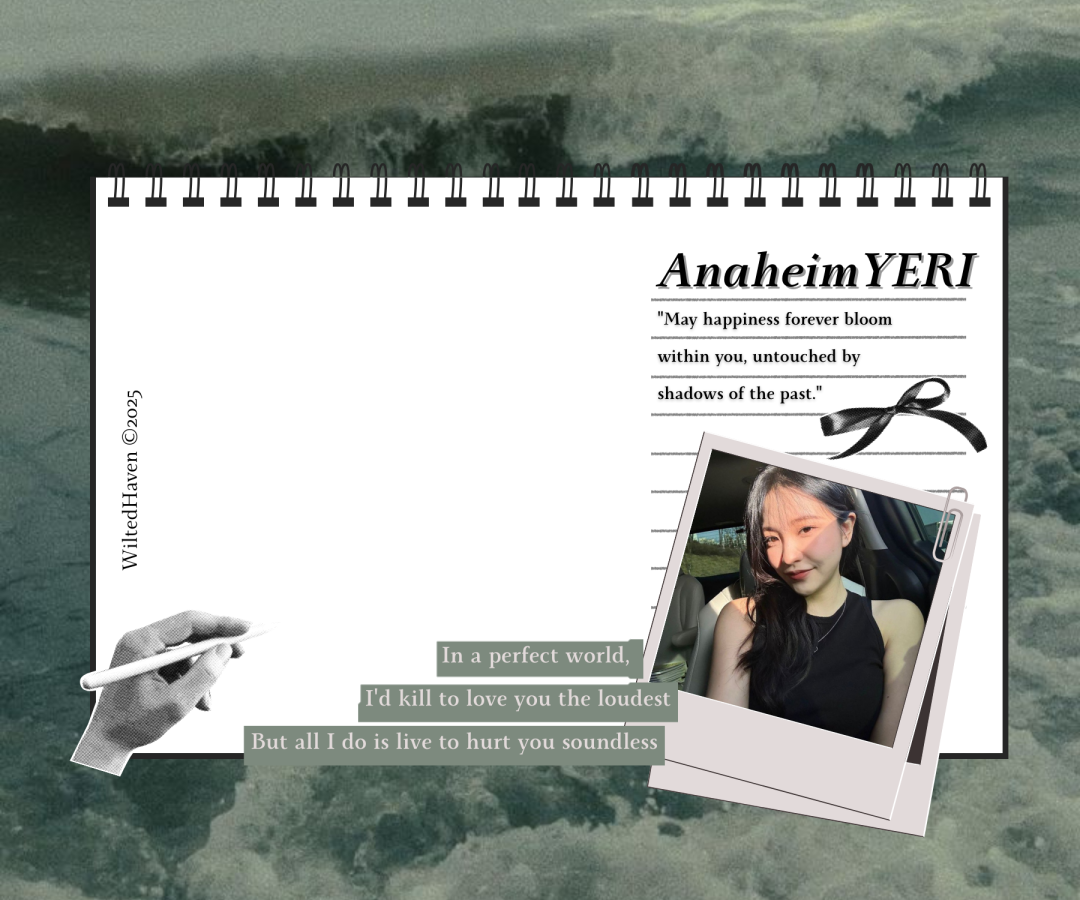 Frame Preview